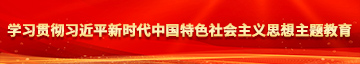 操大骚逼舒服免费看学习贯彻习近平新时代中国特色社会主义思想主题教育